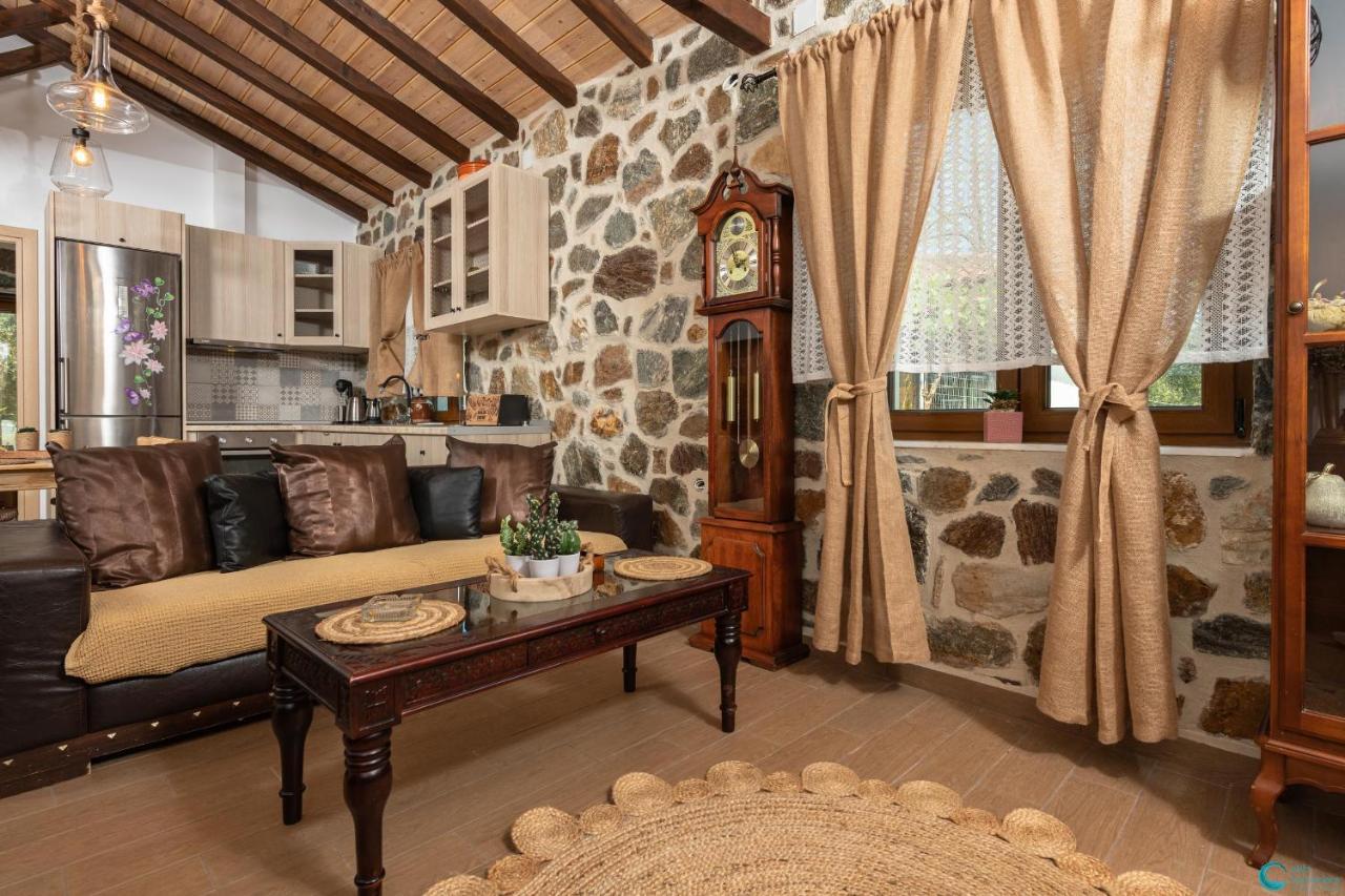 スカラ・ポタミアス Eleni'S Stone Houseヴィラ エクステリア 写真